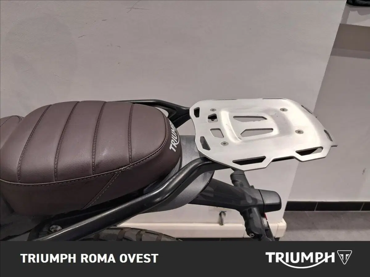 Triumph Scrambler 400 X (2024 - 26) (9)