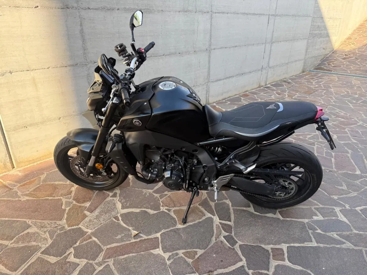Yamaha MT-09 (2021 - 23) (2)