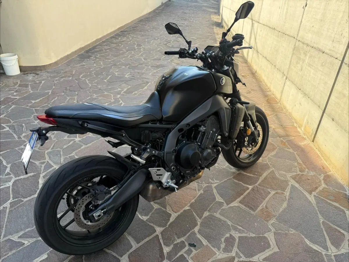 Yamaha MT-09 (2021 - 23) (3)