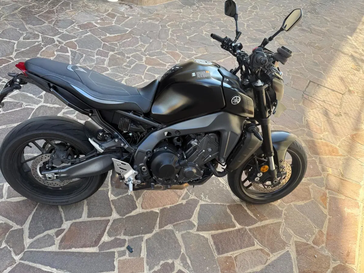 Yamaha MT-09 (2021 - 23) (6)