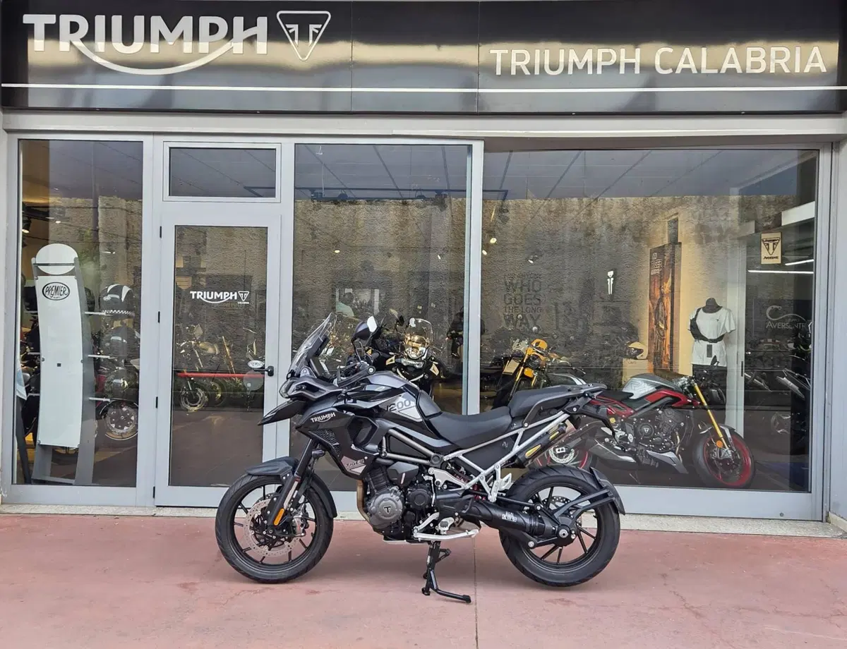 Triumph Tiger 1200 GT Pro (2024 - 26) (4)