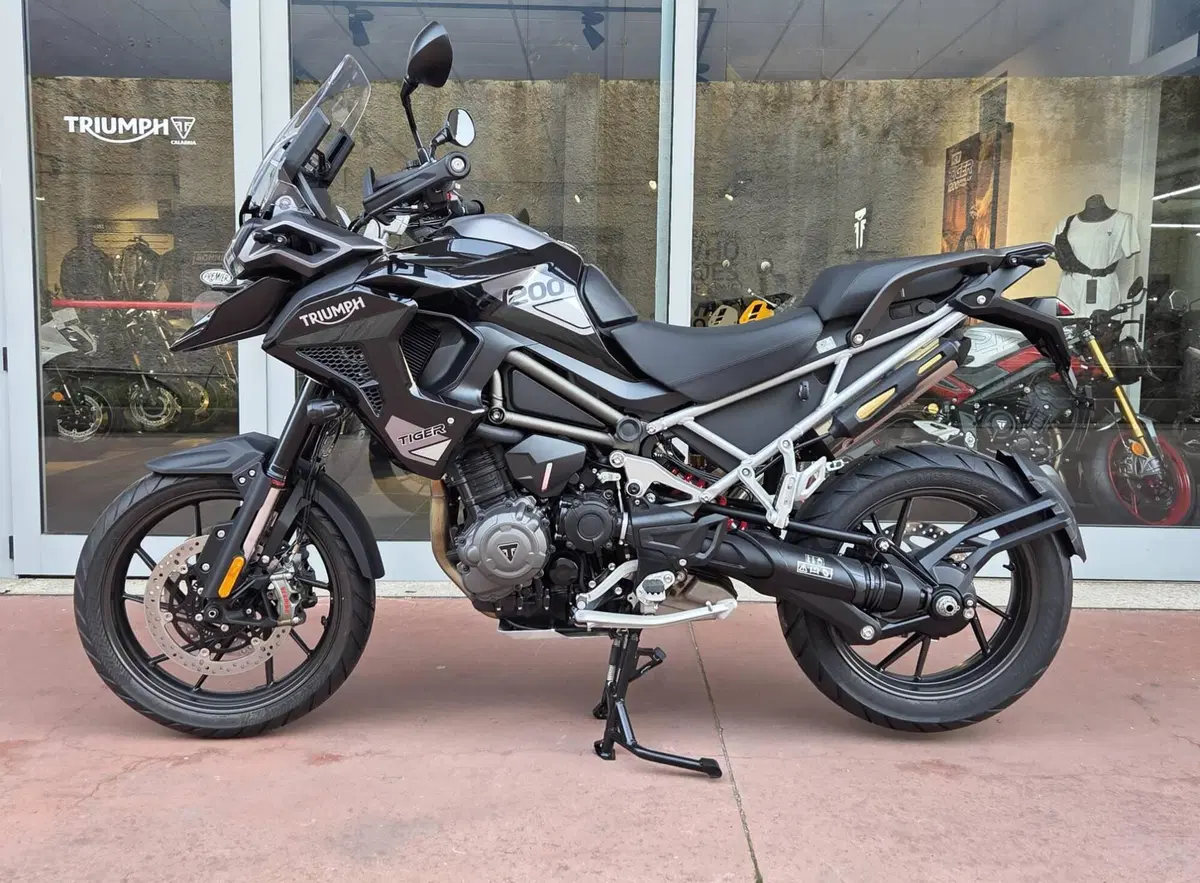 Triumph Tiger 1200 GT Pro (2024 - 26) (5)