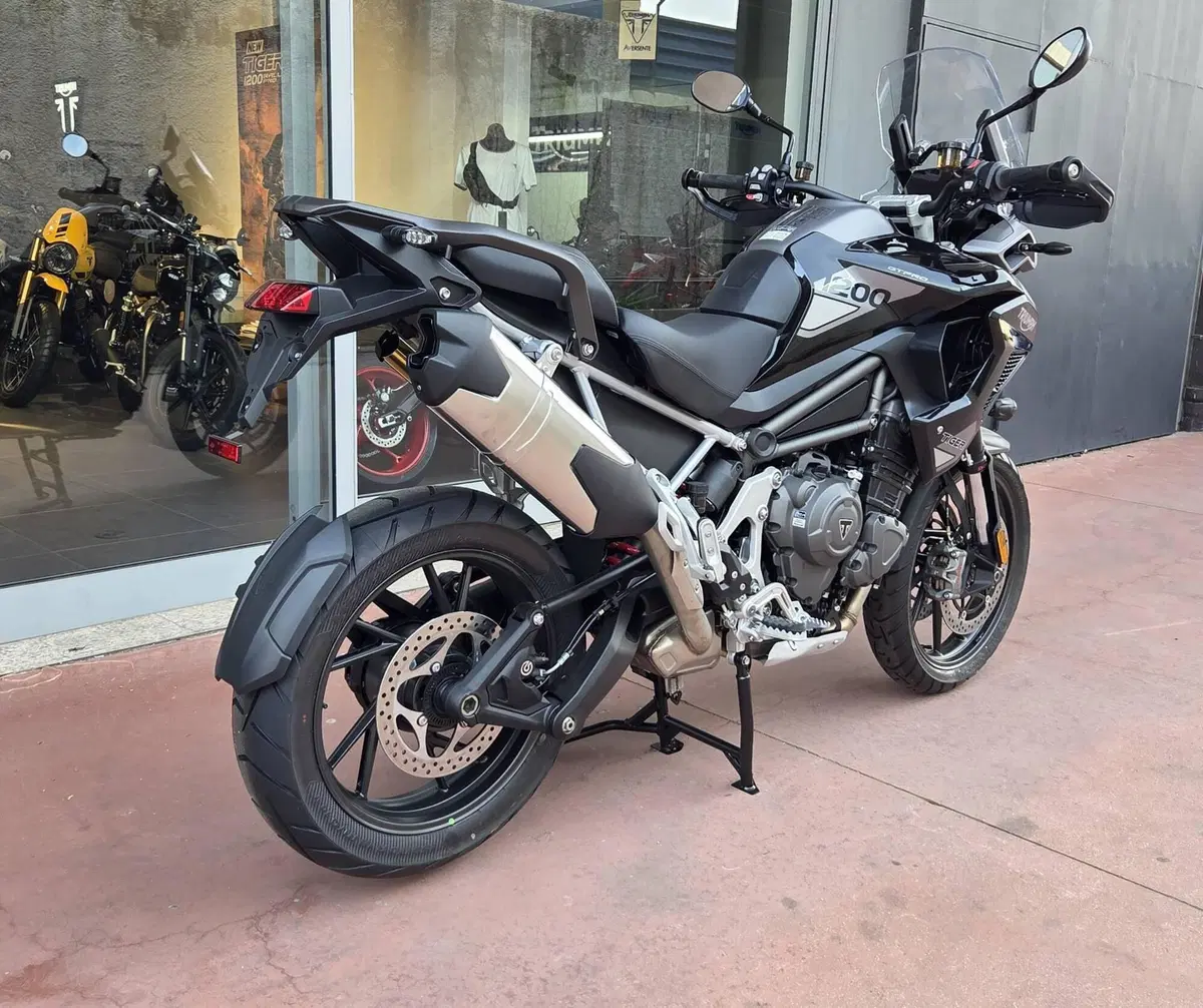 Triumph Tiger 1200 GT Pro (2024 - 26) (3)
