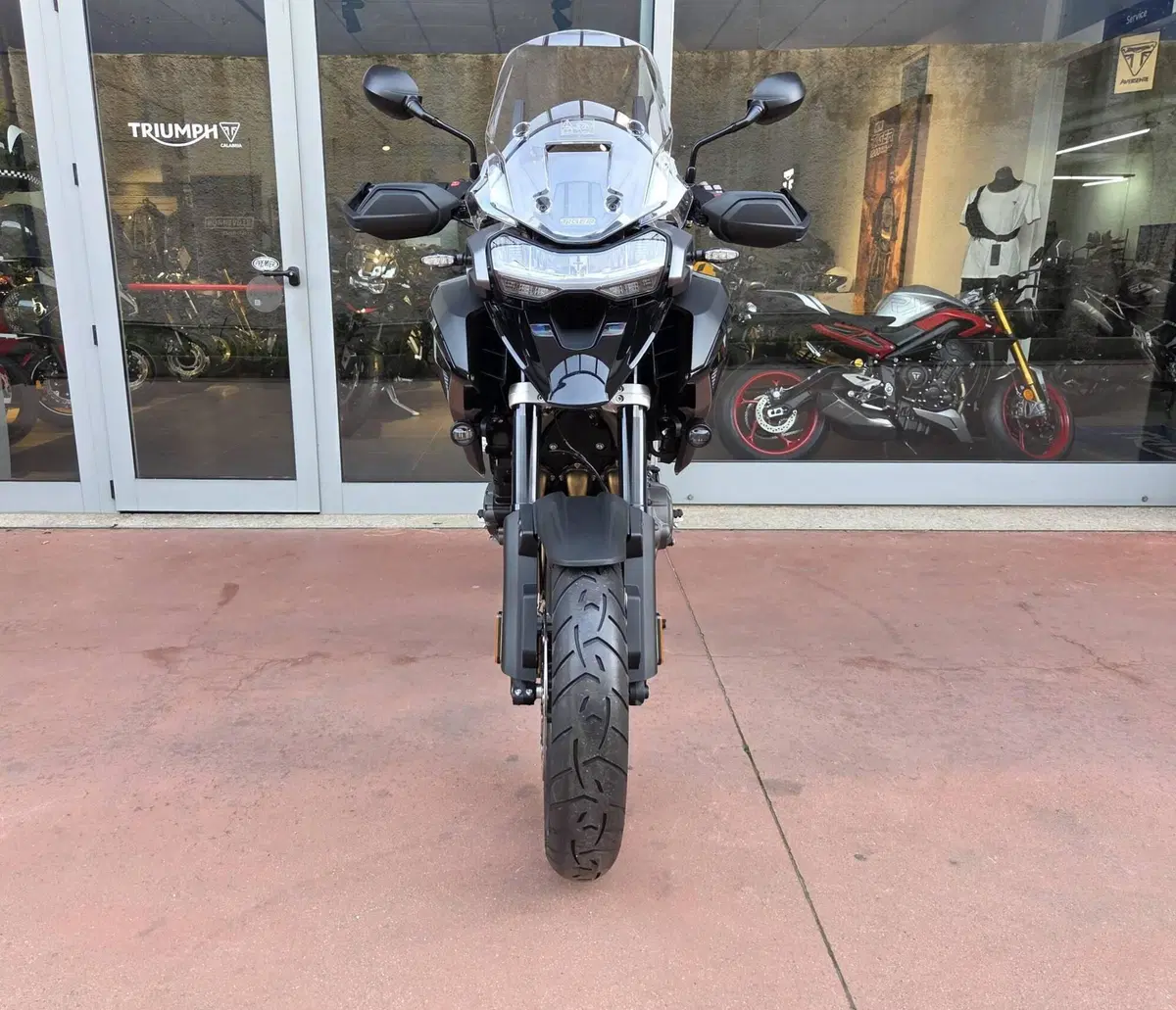 Triumph Tiger 1200 GT Pro (2024 - 26) (12)