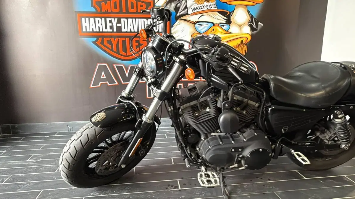 Harley-Davidson 1200 Forty-Eight (2016 - 20) (3)