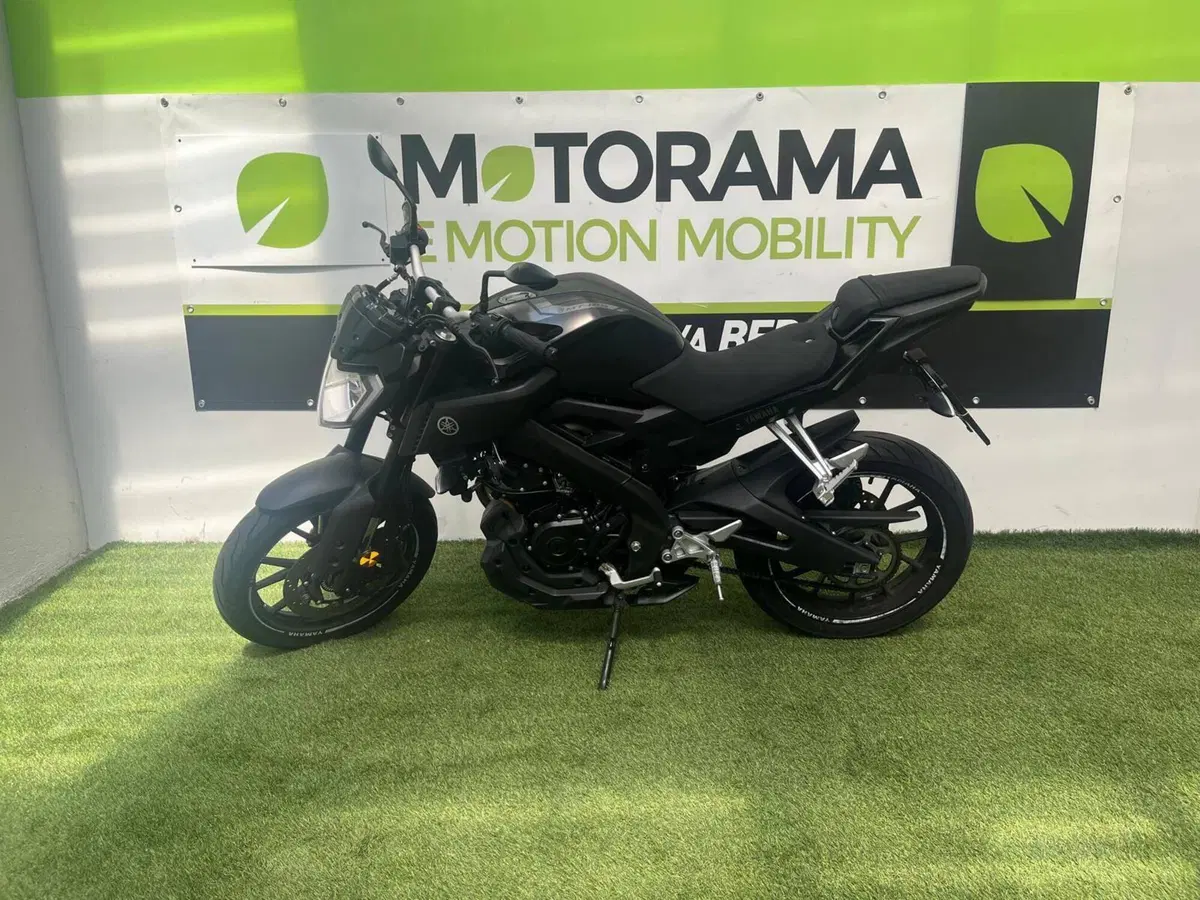 Yamaha MT-125 ABS (2017 - 19) (3)