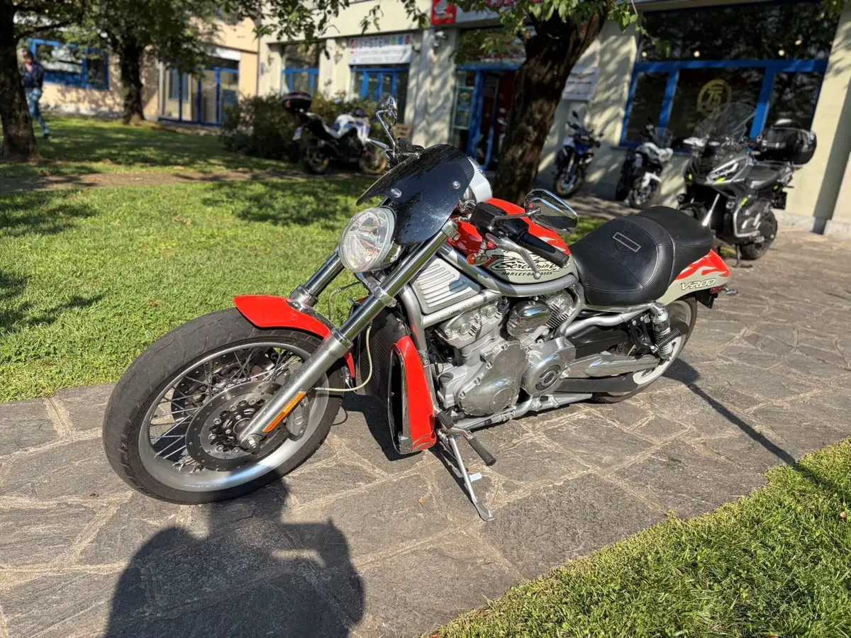 Harley-Davidson 1250 V-Rod (2005 - 06) VRSCSE (4)