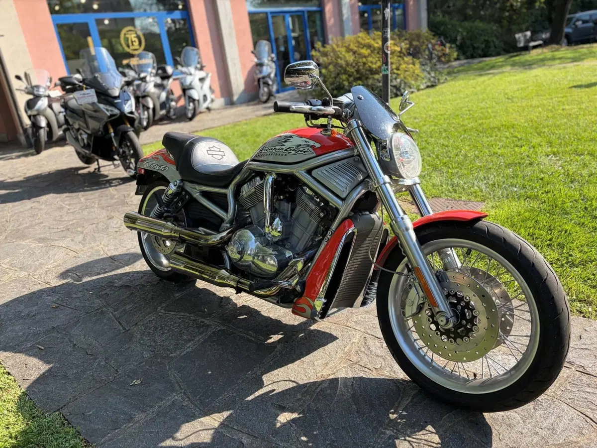 Harley-Davidson 1250 V-Rod (2005 - 06) VRSCSE (6)