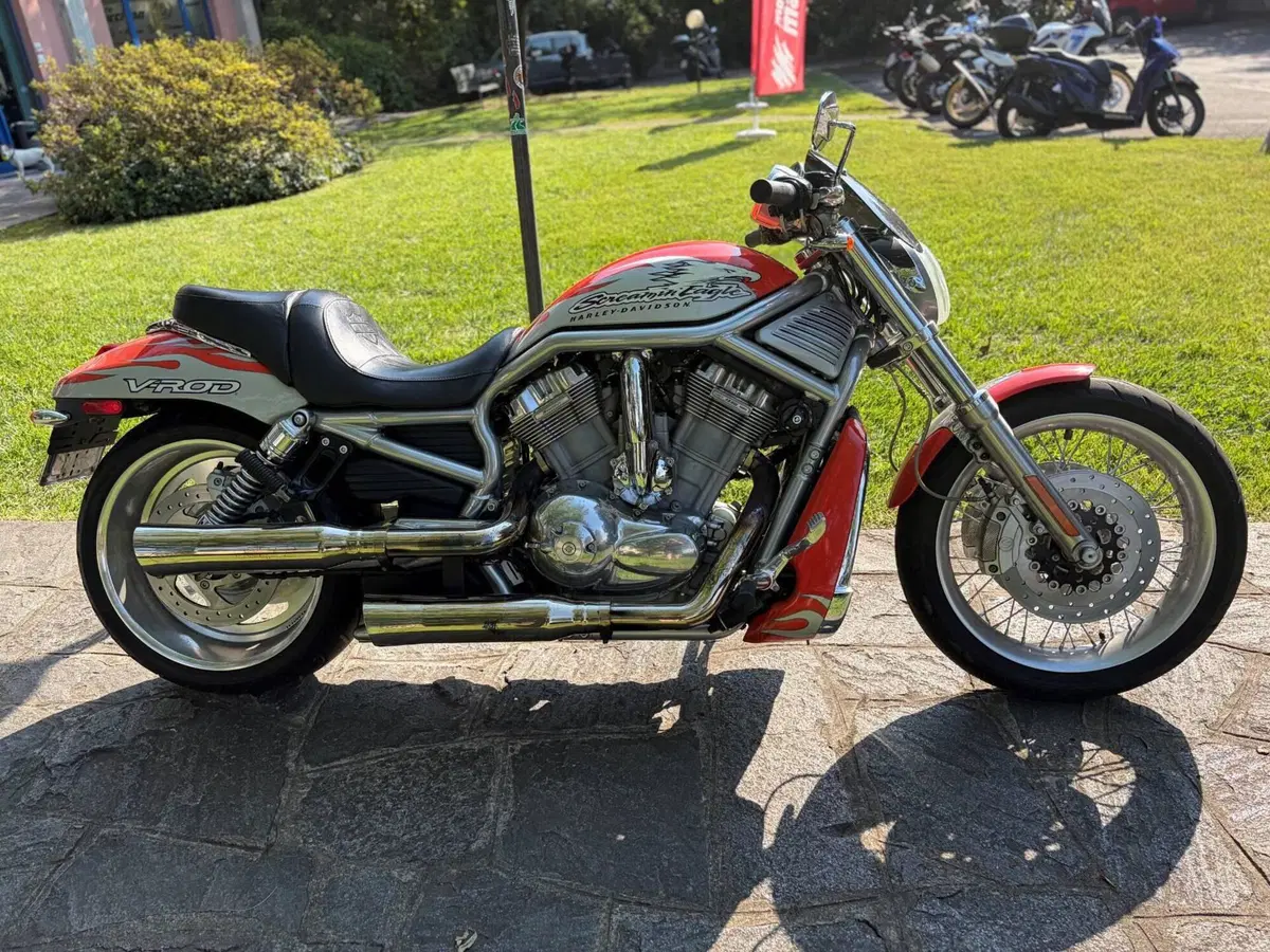 Harley-Davidson 1250 V-Rod (2005 - 06) VRSCSE (7)