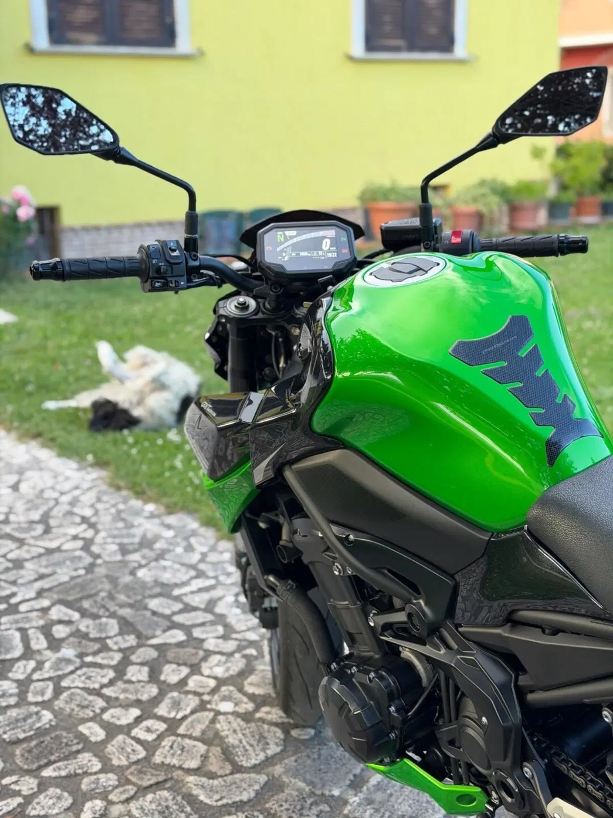 Kawasaki Z 900 A2 (2020) (4)