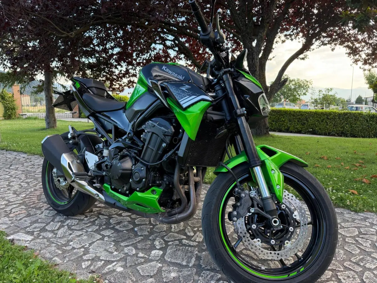 Kawasaki Z 900 A2 (2020) (8)