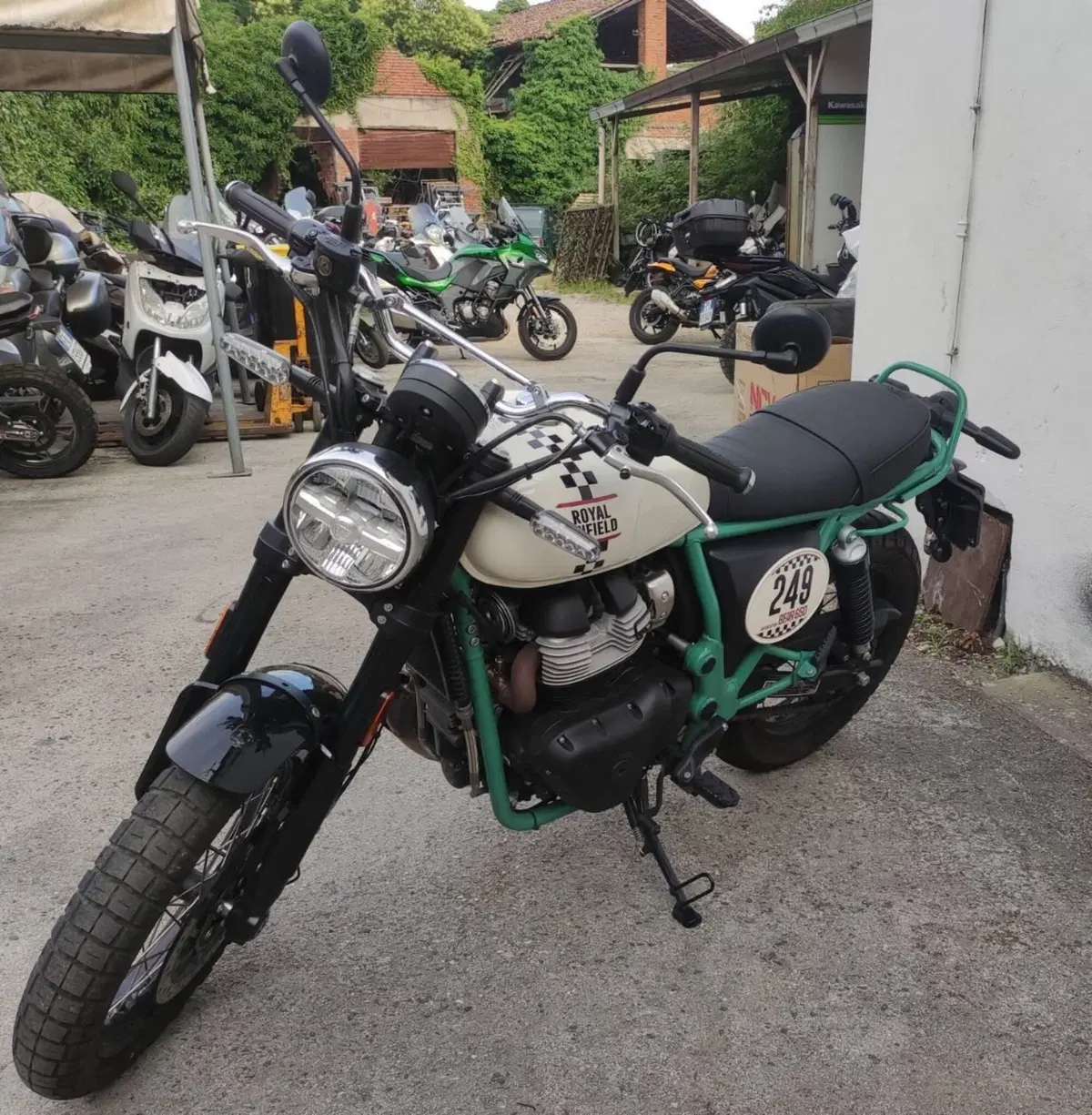 Royal Enfield Bear 650 (2025 - 26)