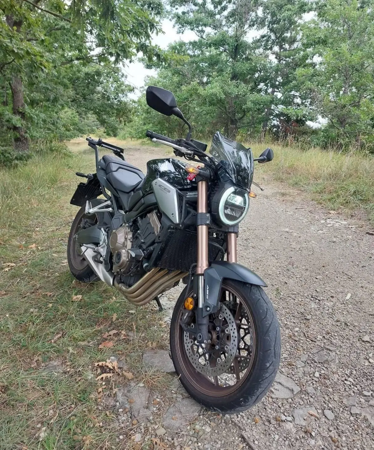 Honda CB 650 R (2019 - 20) (2)