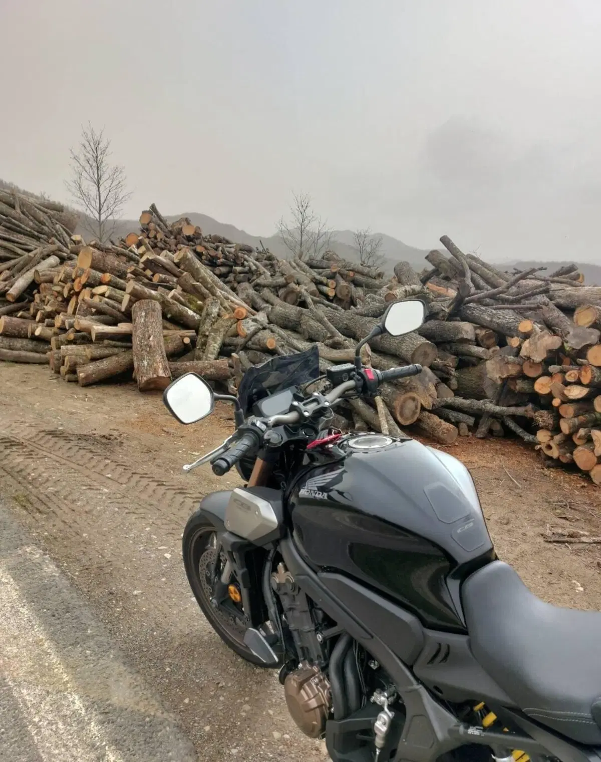 Honda CB 650 R (2019 - 20) (4)
