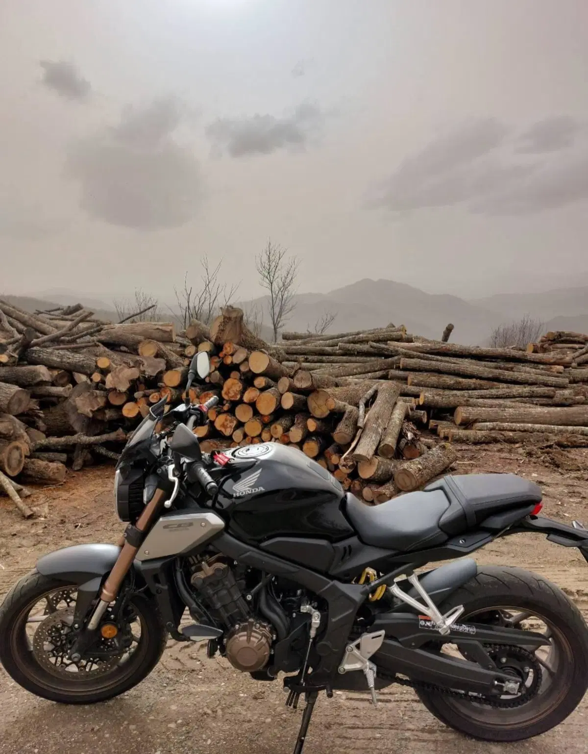 Honda CB 650 R (2019 - 20) (5)