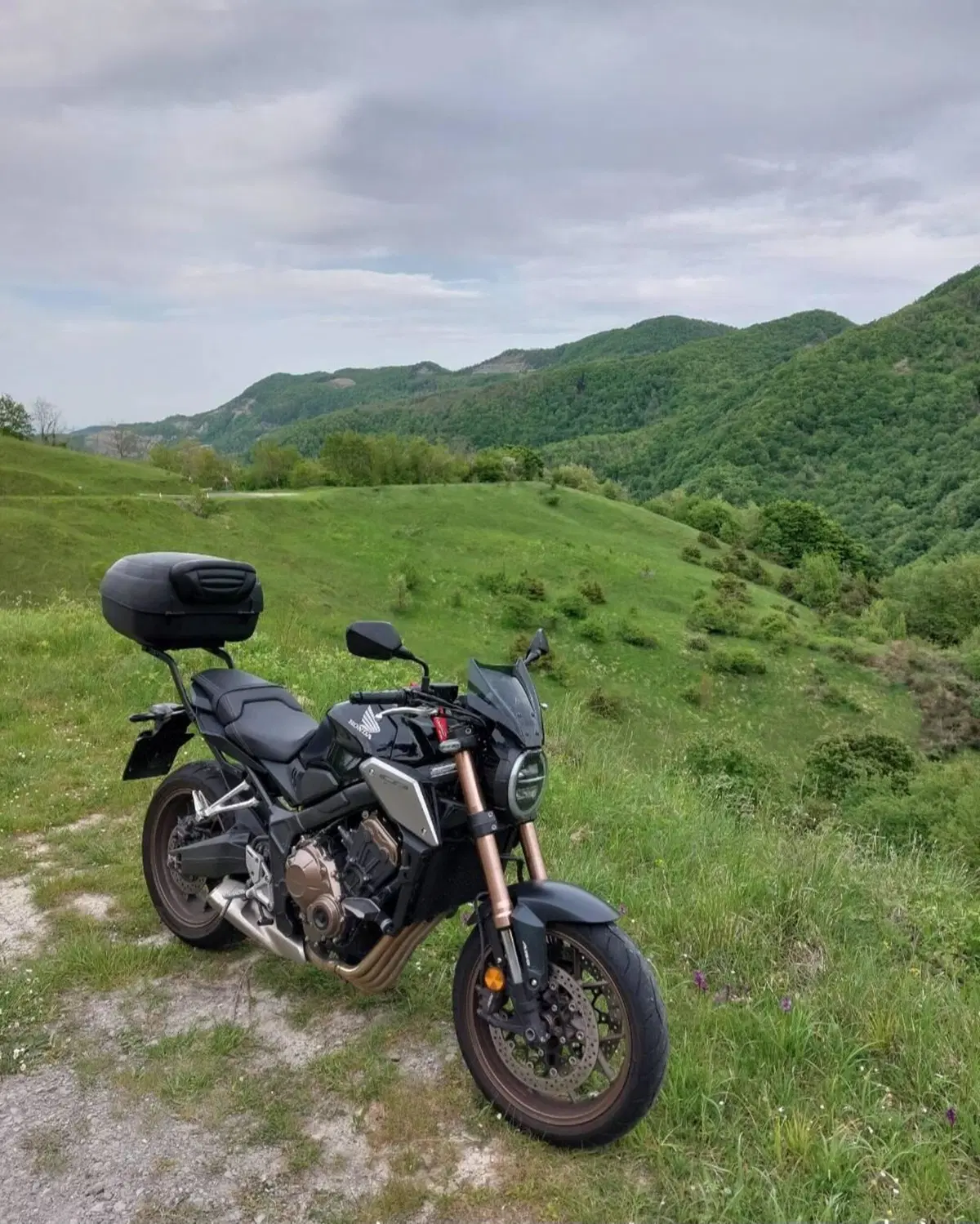 Honda CB 650 R (2019 - 20) (8)
