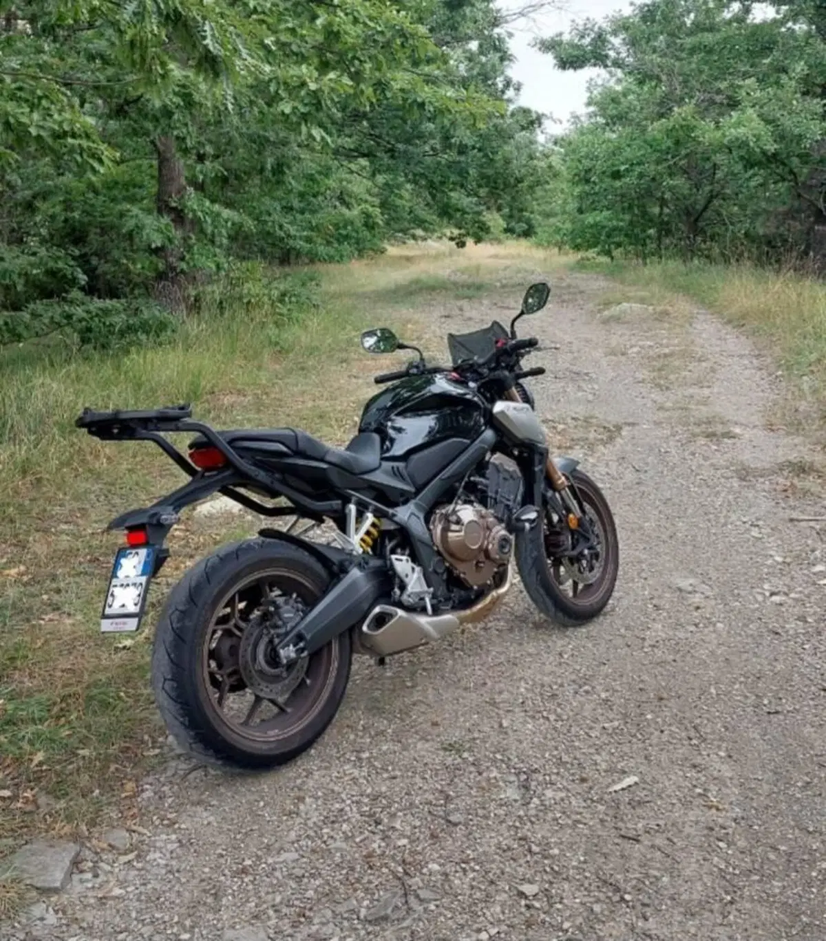 Honda CB 650 R (2019 - 20) (18)