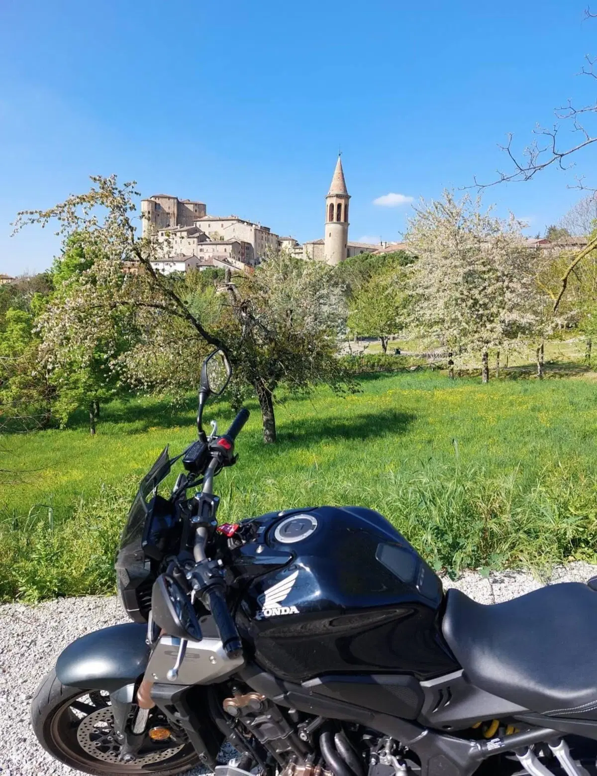 Honda CB 650 R (2019 - 20) (19)