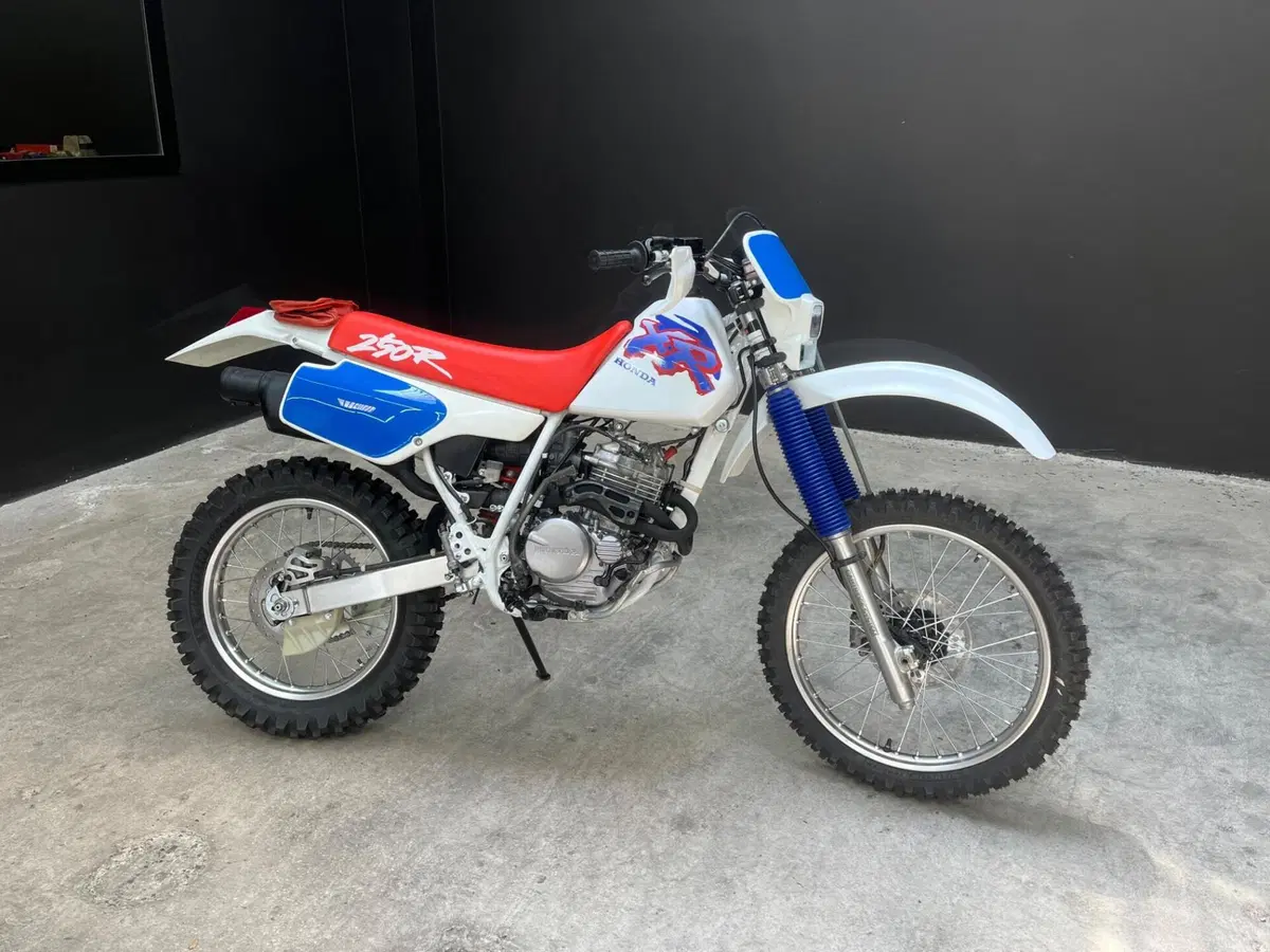 Honda XR250R (2)