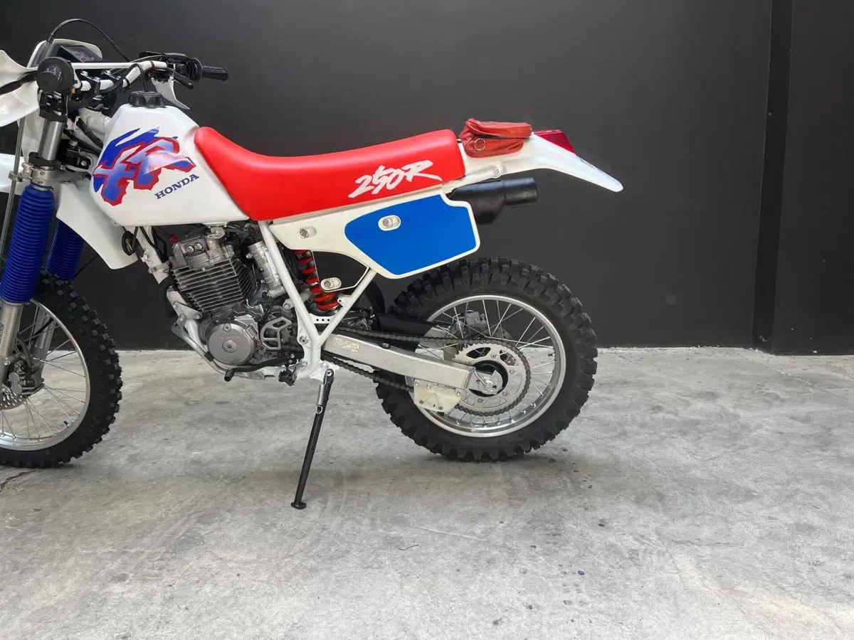 Honda XR250R (4)