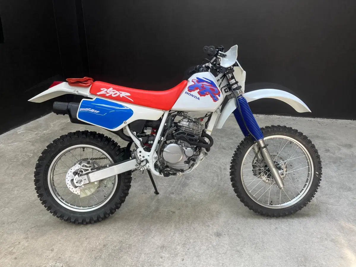 Honda XR250R (5)