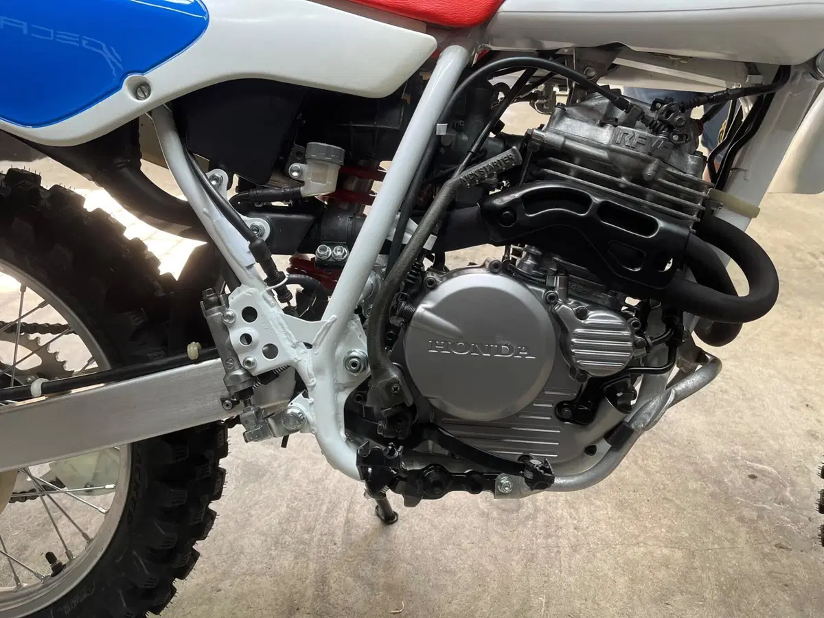 Honda XR250R (8)