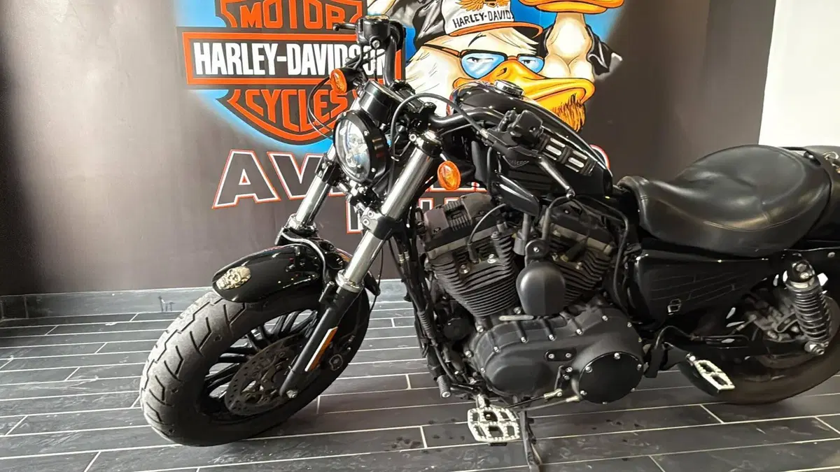 Harley-Davidson 1200 Forty-Eight (2016 - 20) (2)