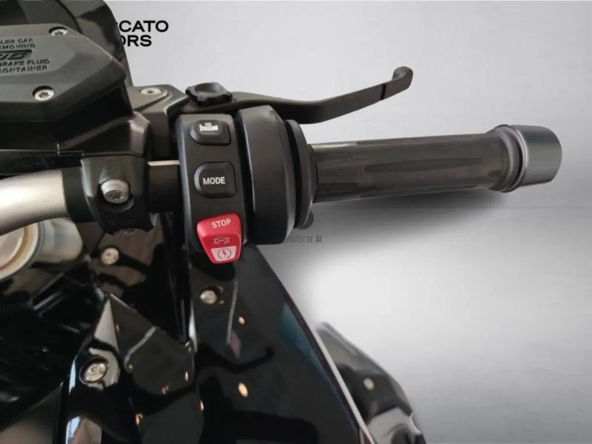 Bmw R 1250 RS (2021 - 25) (13)