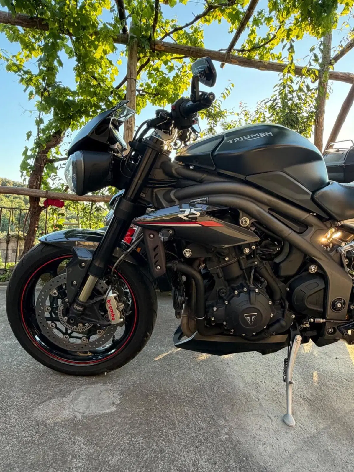 Triumph Speed Triple 1050 RS (2018 - 20) (3)