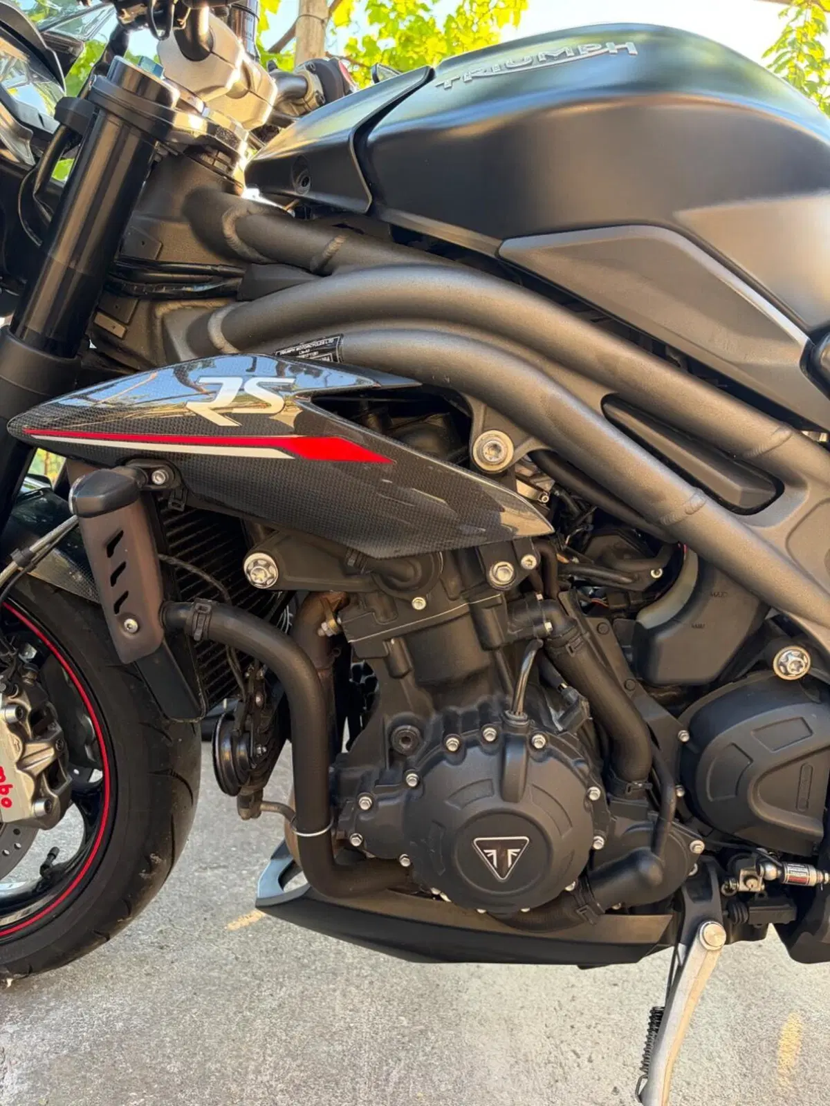 Triumph Speed Triple 1050 RS (2018 - 20) (6)