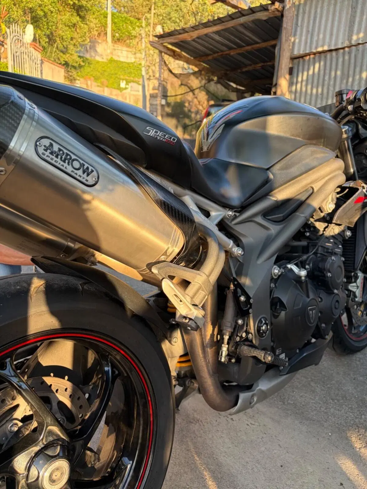 Triumph Speed Triple 1050 RS (2018 - 20) (13)