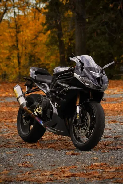 Triumph Daytona 675 (2013 - 14) usata