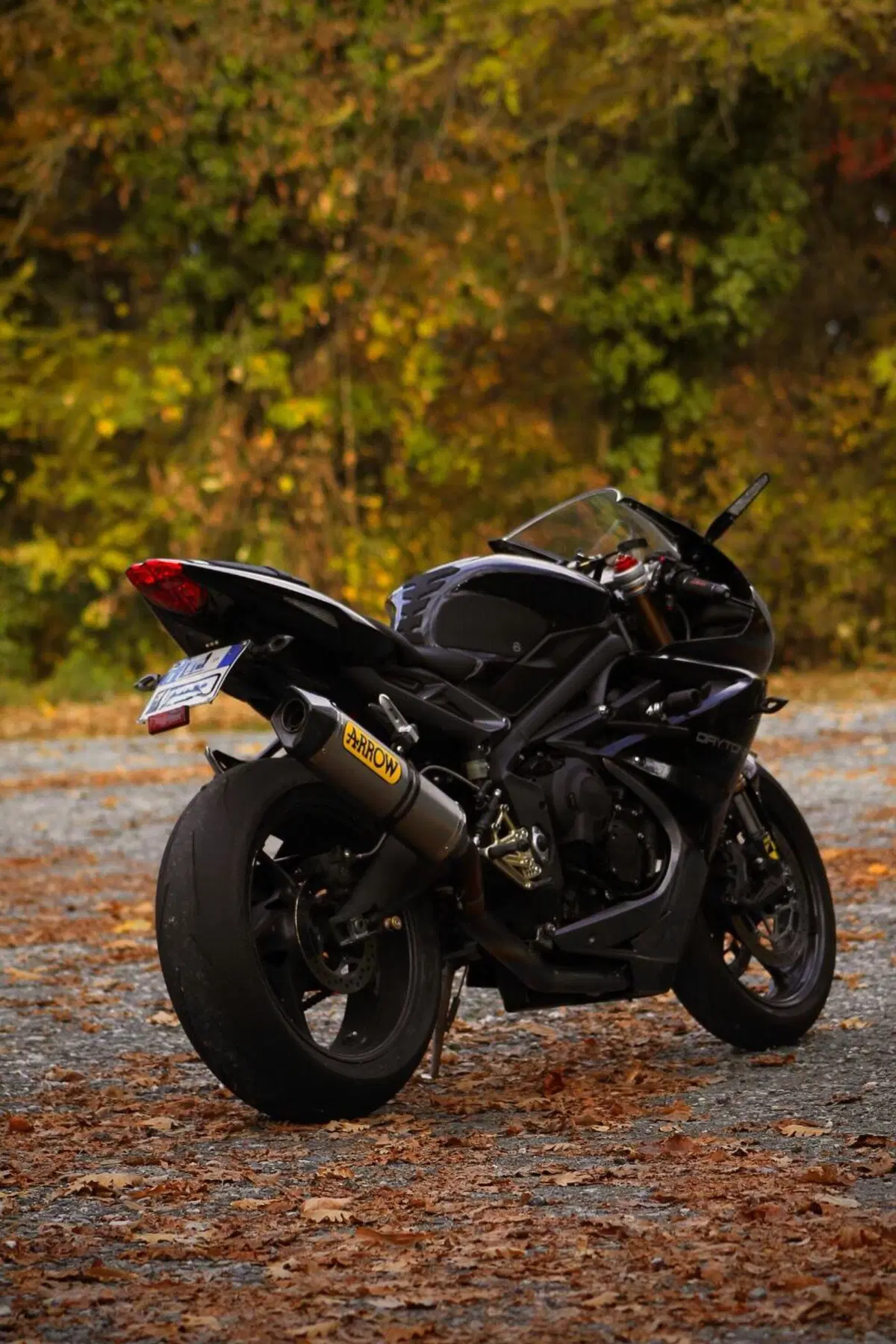 Triumph Daytona 675 (2013 - 14) (2)