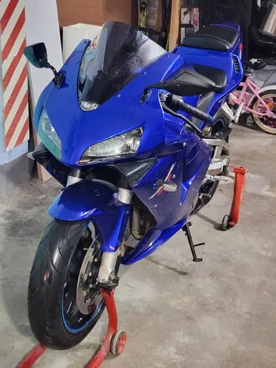 Honda CBR 600 RR (2003 - 04) usata