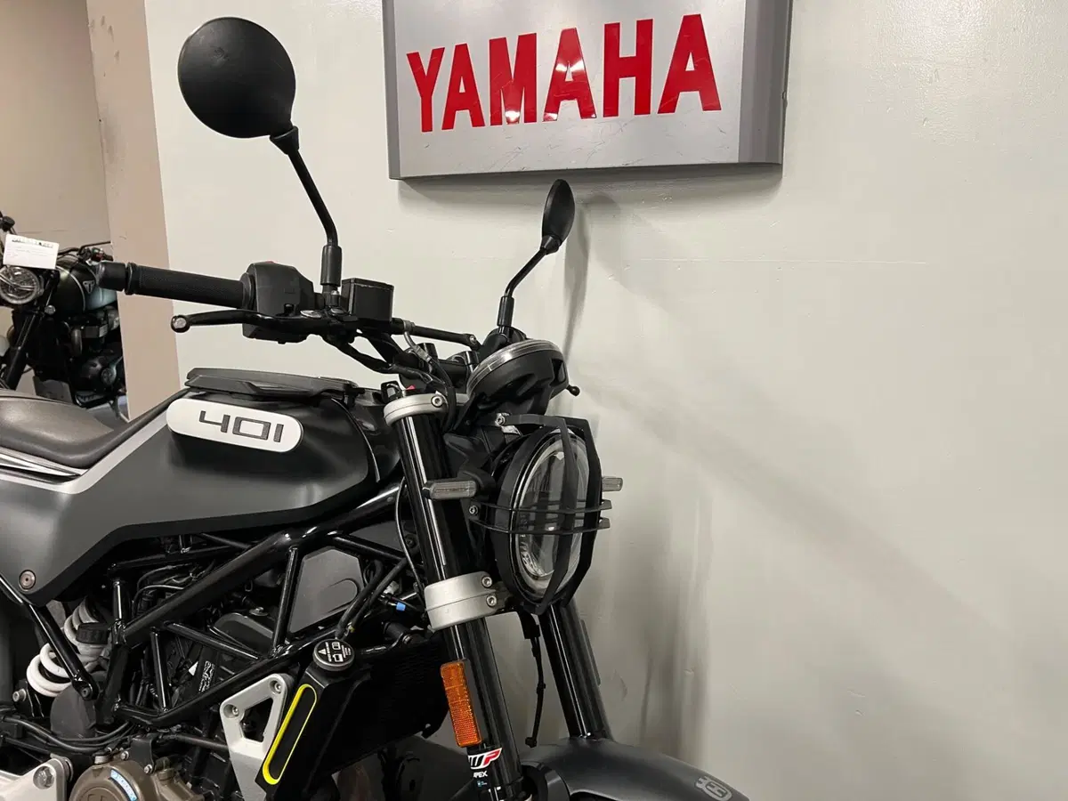 Husqvarna Svartpilen 401 (2020) (2)