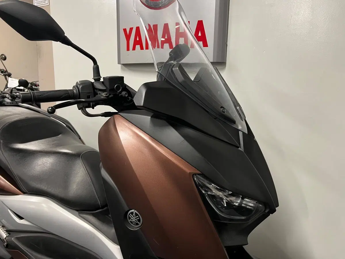 Yamaha X-Max 300 ABS (2017 - 20) (2)