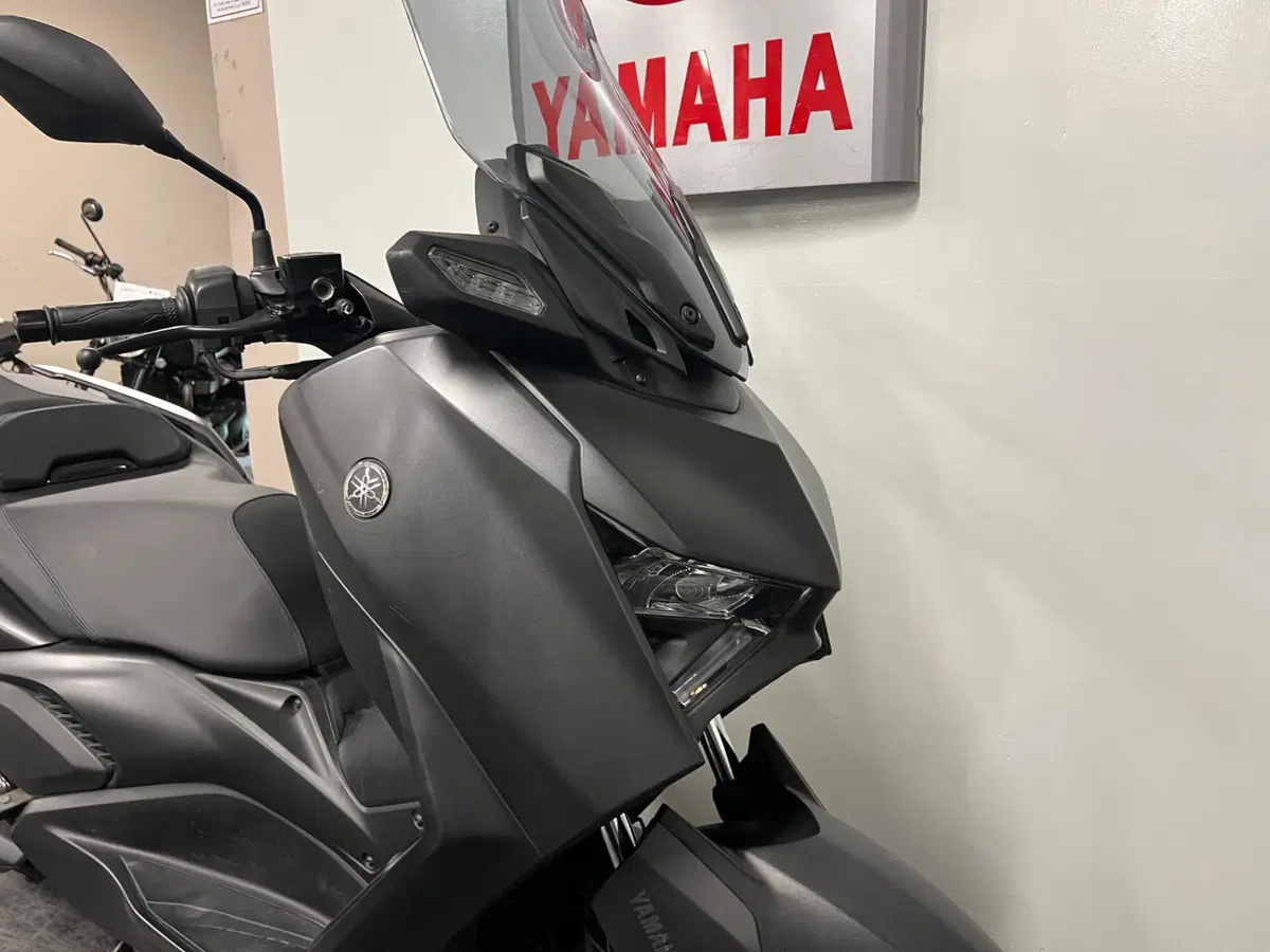 Yamaha X-Max 300 (2021 - 24) (2)