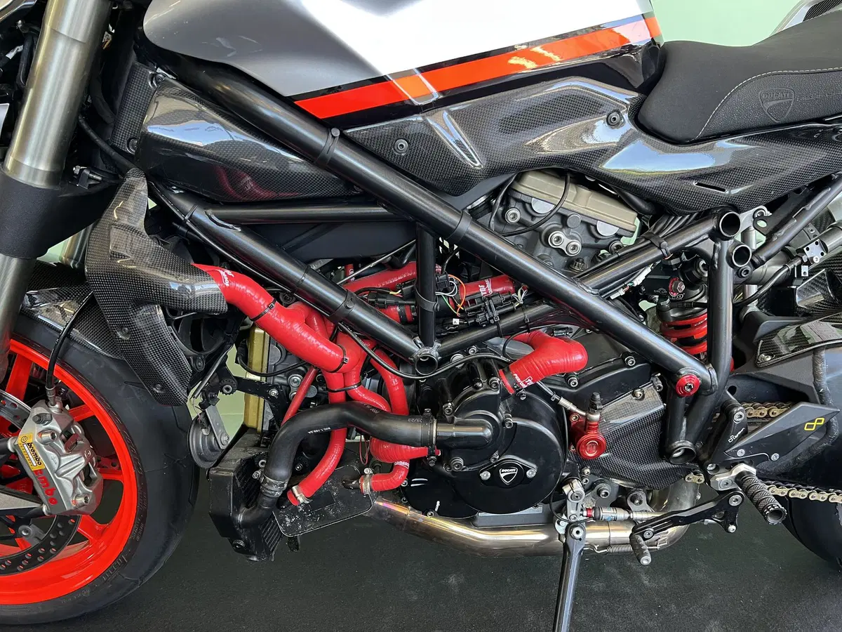 Ducati Streetfighter (2009 - 12) (14)