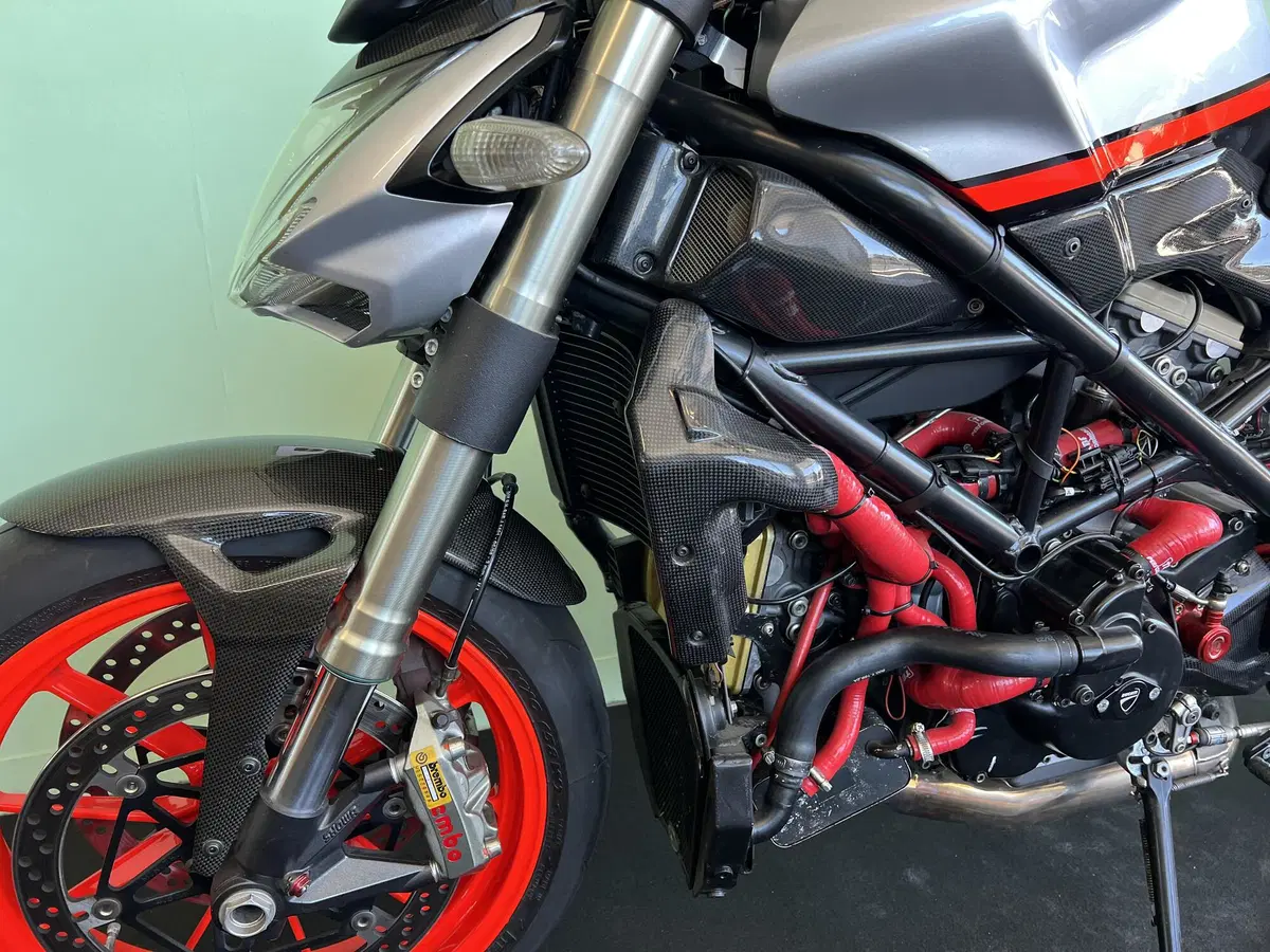 Ducati Streetfighter (2009 - 12) (15)