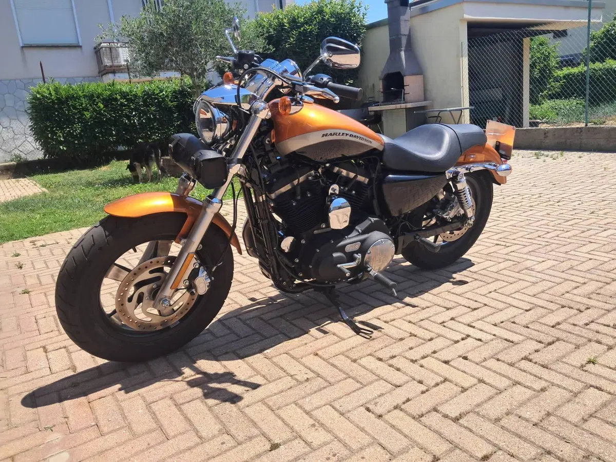Harley-Davidson 1200 Custom ABS (2014 - 16) - XL 1200C (3)