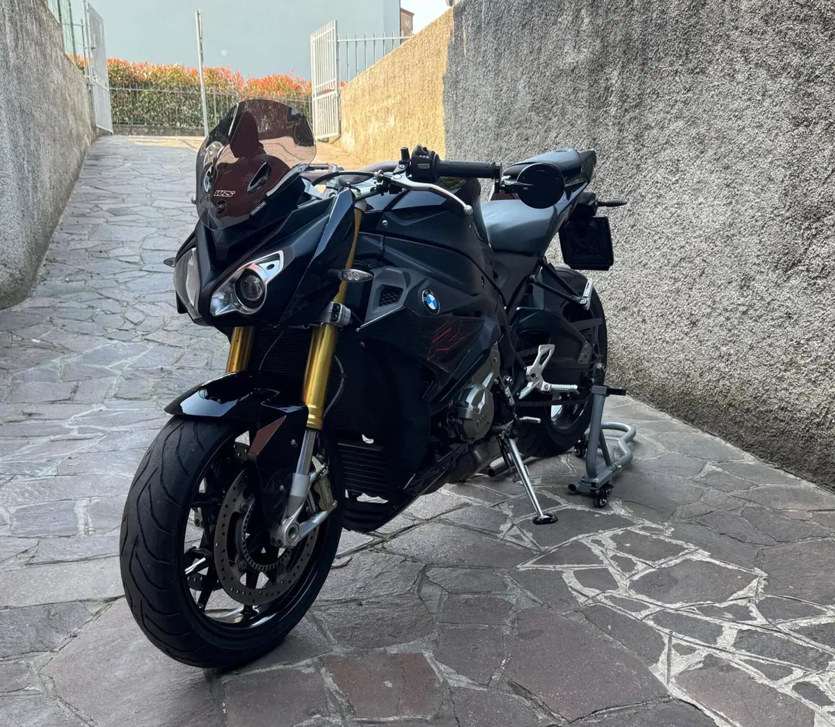 Bmw S 1000 R (2017 - 20) (2)