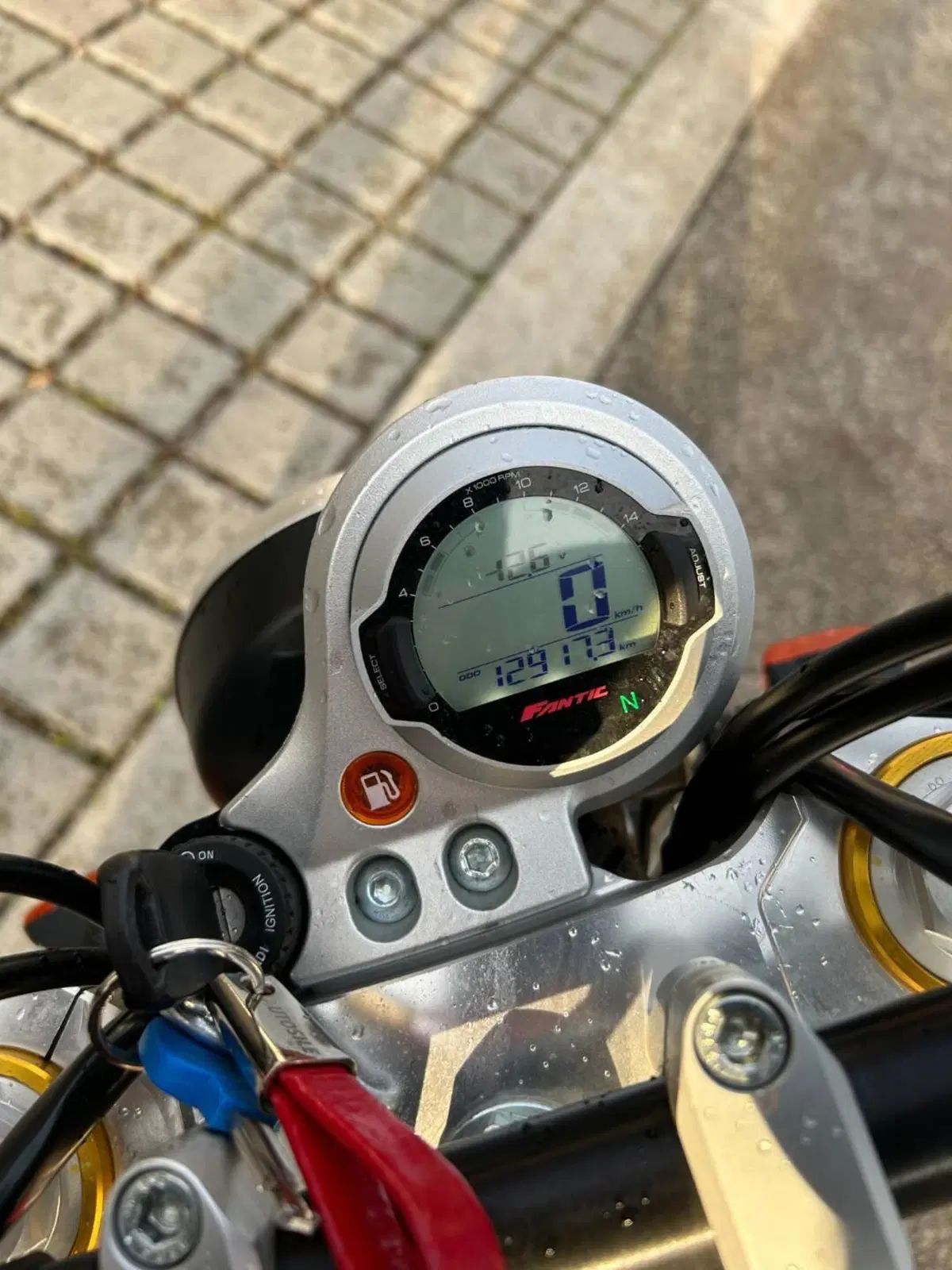 Fantic Motor Caballero 125 Scrambler (2021 - 23) (7)
