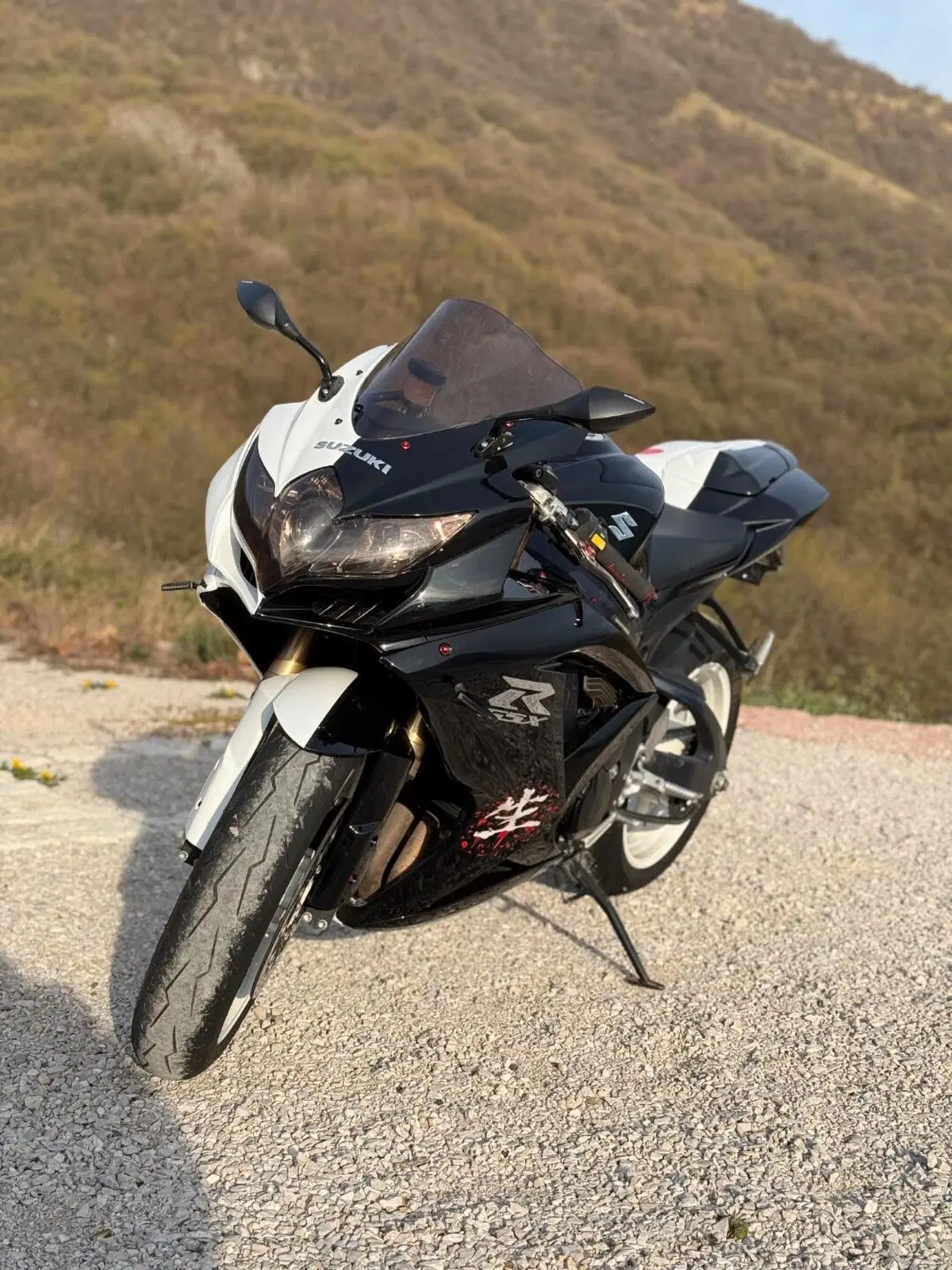 Suzuki GSX R 600 (2008 - 10) (3)