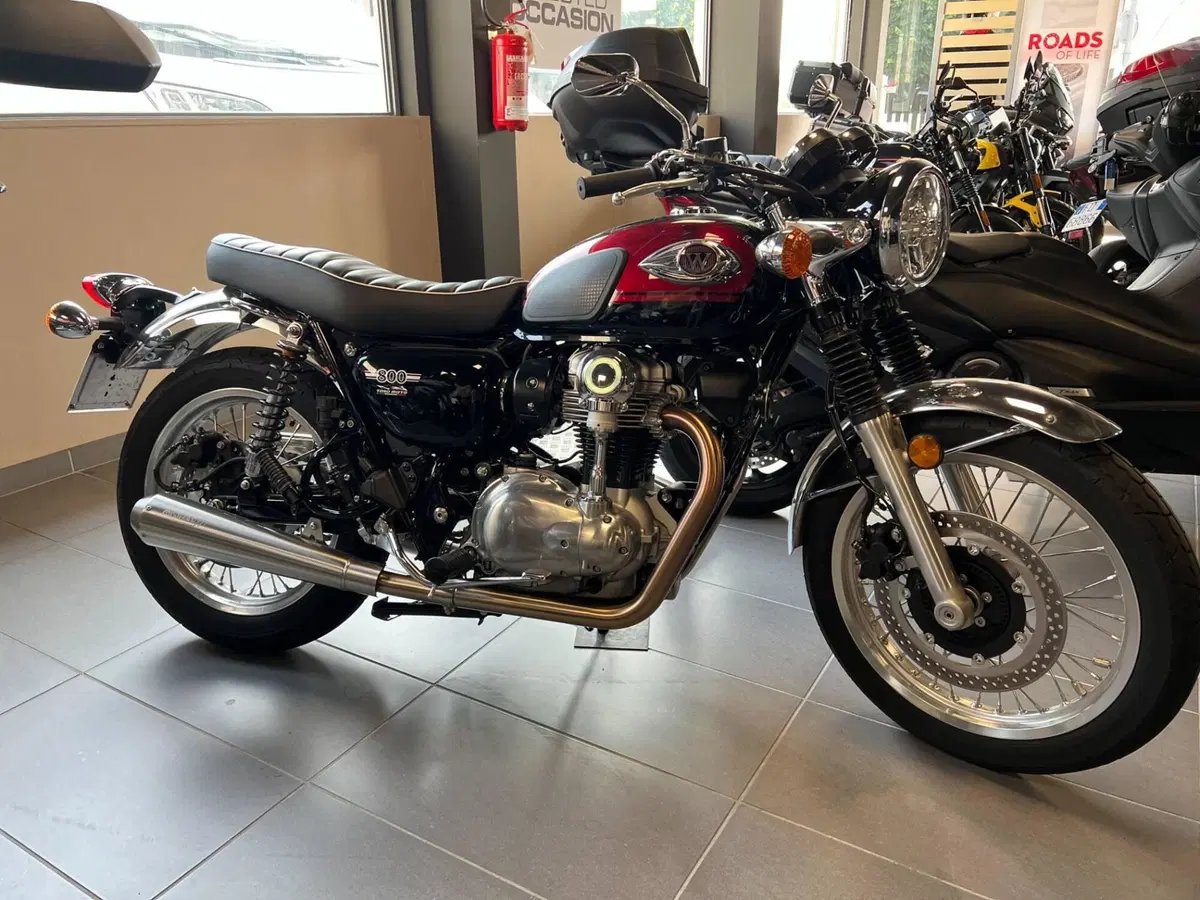 Kawasaki W 800 (2021 - 26) (2)