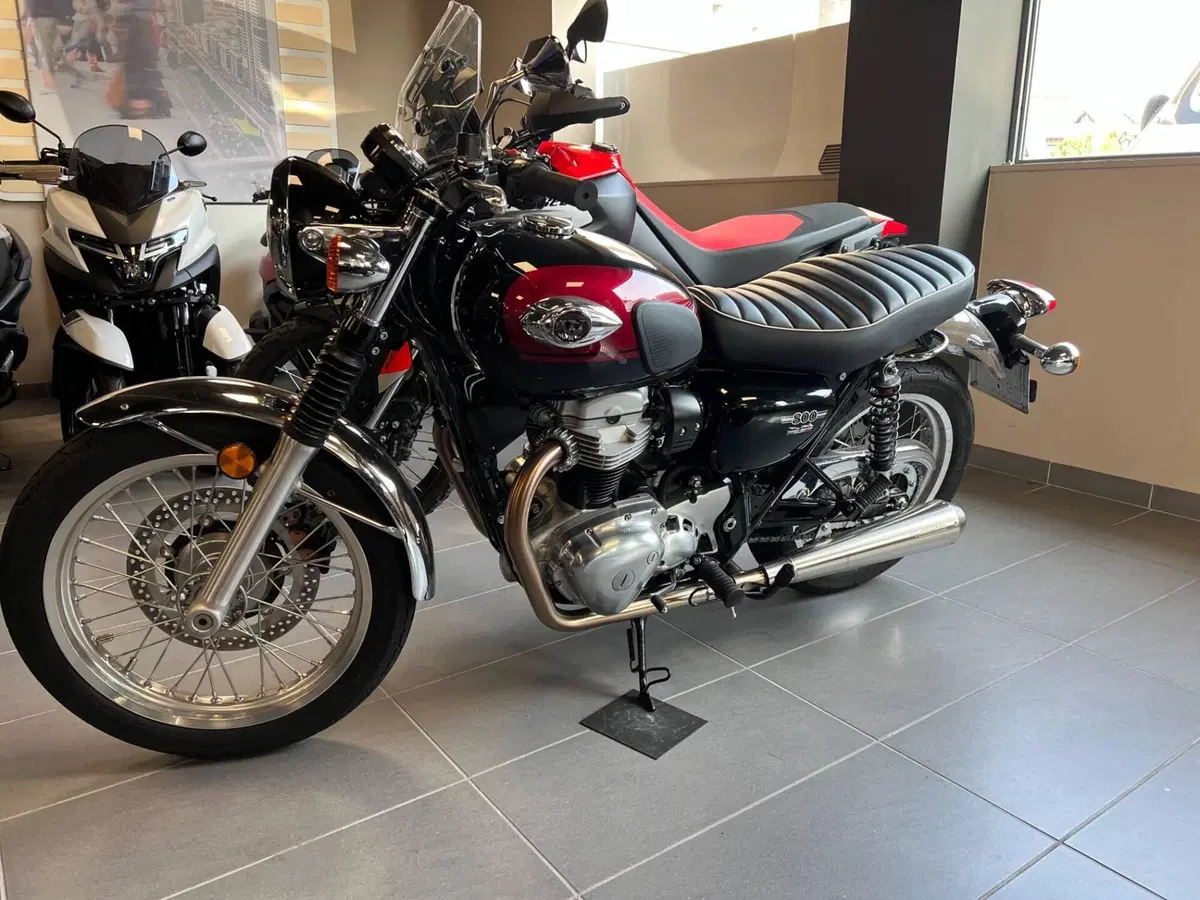 Kawasaki W 800 (2021 - 26) (4)
