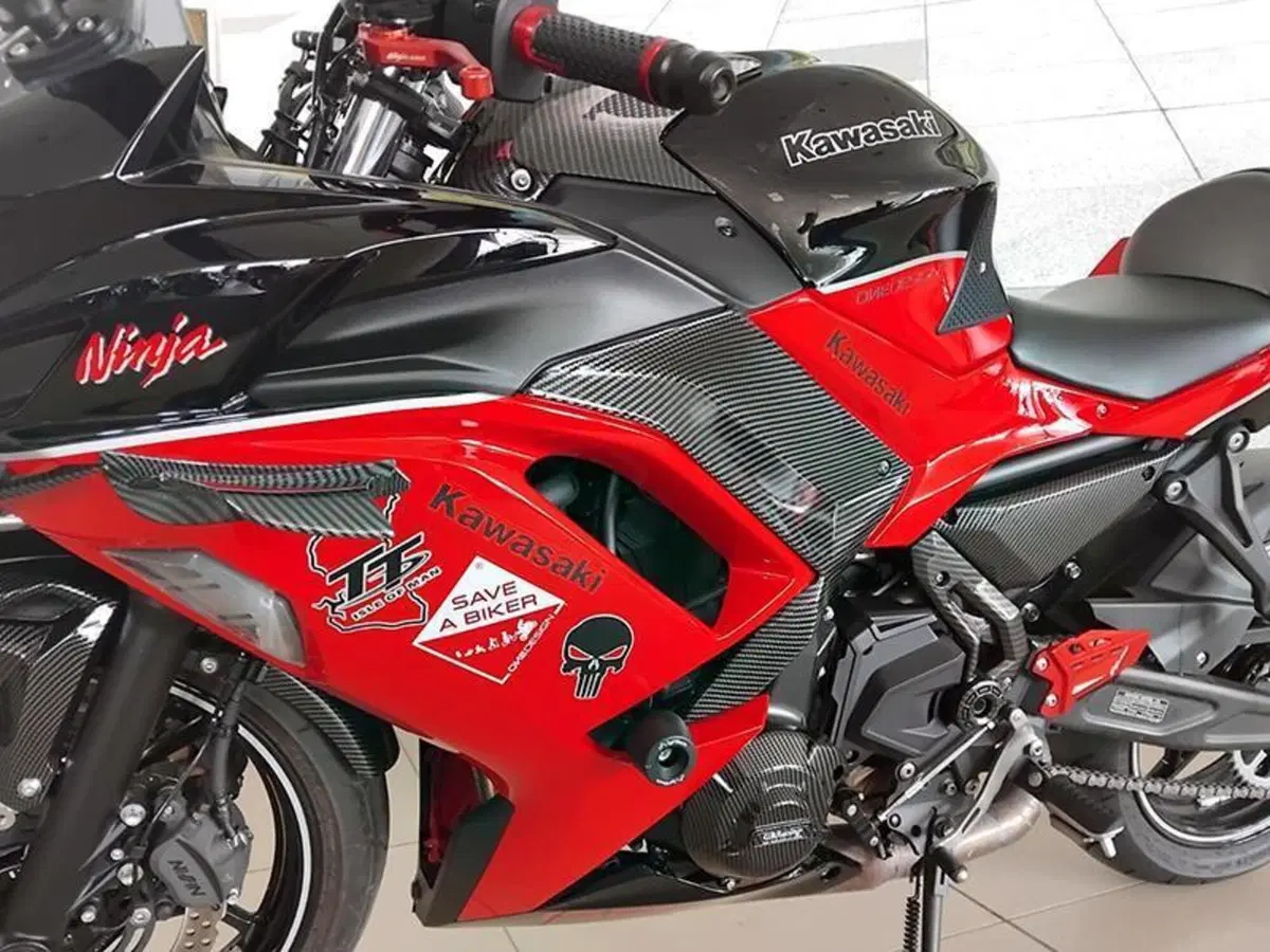 Kawasaki Ninja 650 40th Anniversary Edition (2024) (3)