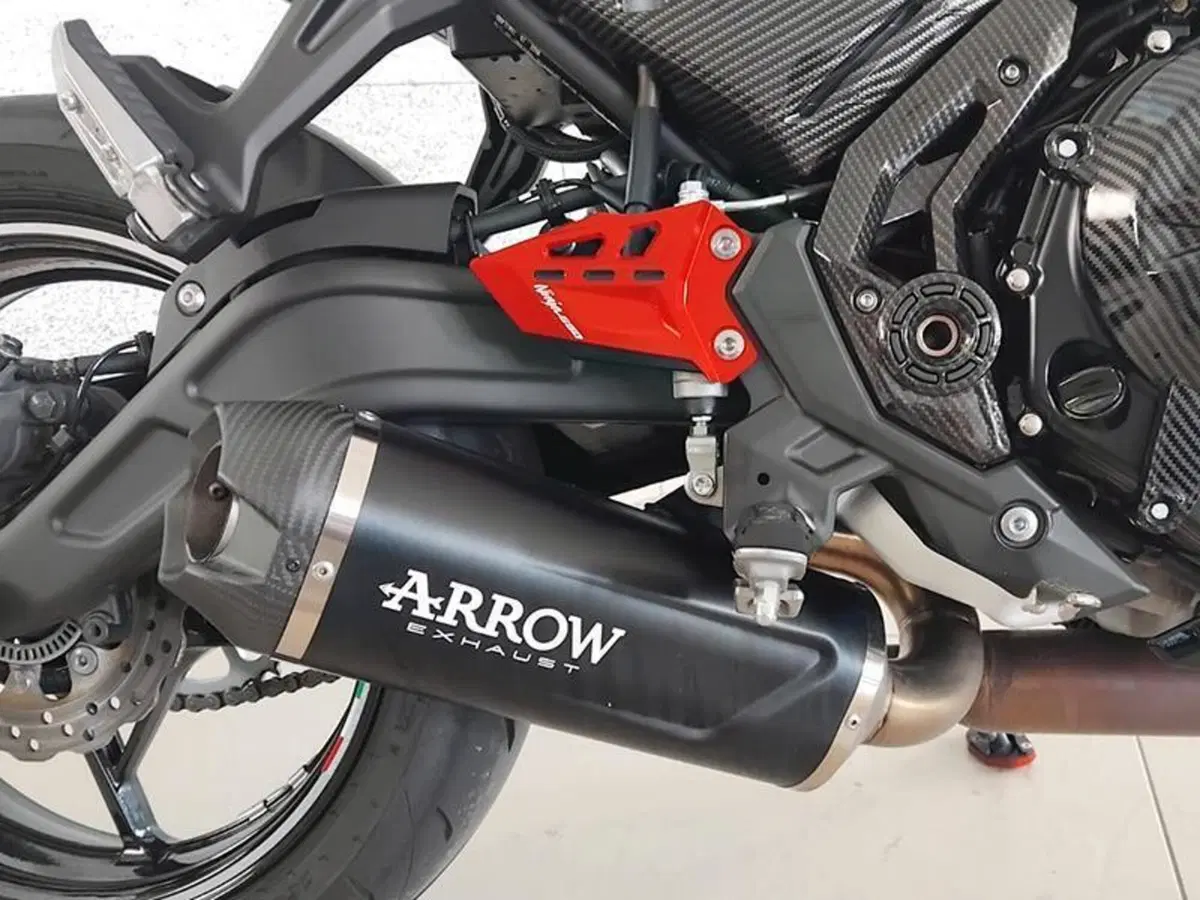 Kawasaki Ninja 650 40th Anniversary Edition (2024) (5)