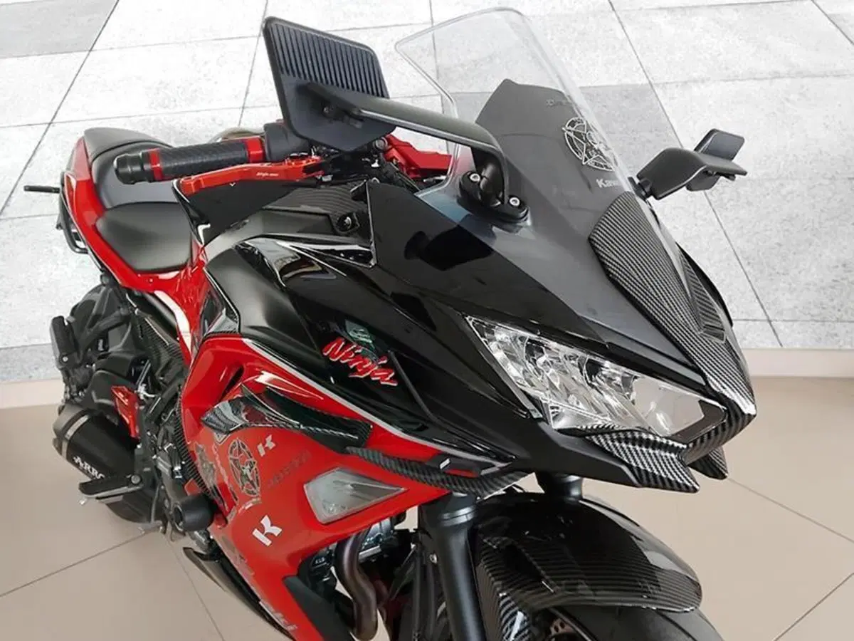 Kawasaki Ninja 650 40th Anniversary Edition (2024) (7)
