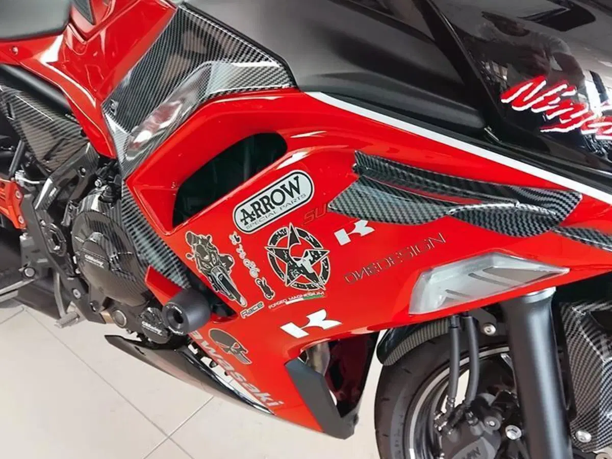 Kawasaki Ninja 650 40th Anniversary Edition (2024) (8)