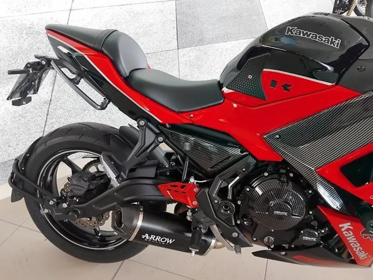 Kawasaki Ninja 650 40th Anniversary Edition (2024) (9)